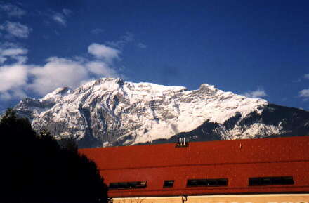 tirol4f.jpg (16097 bytes)